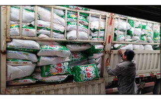 2015年洗衣粉江湖甩卖模式探析 厂家直销与袋装买一送三策略